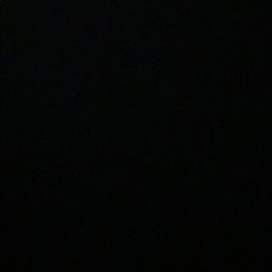 Meet your Posher, Elenna